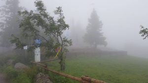 Kandelgasthof im Nebel